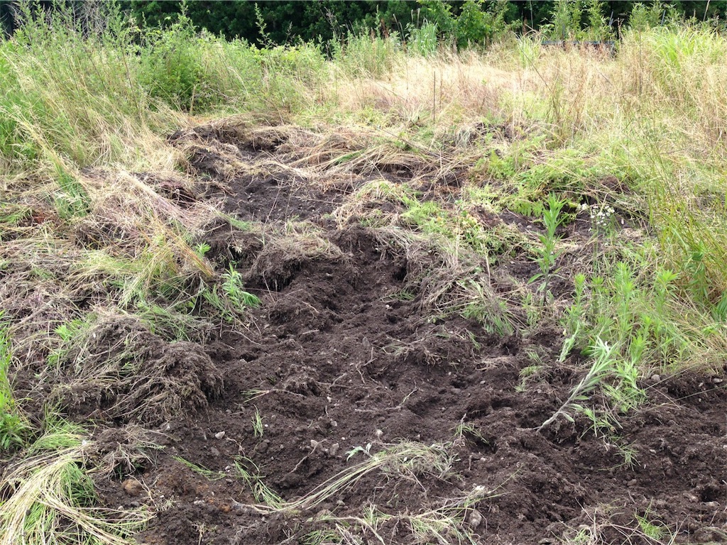 f:id:keitaf31:20170622233407j:image f:id:keitaf31:20170622233407j:image