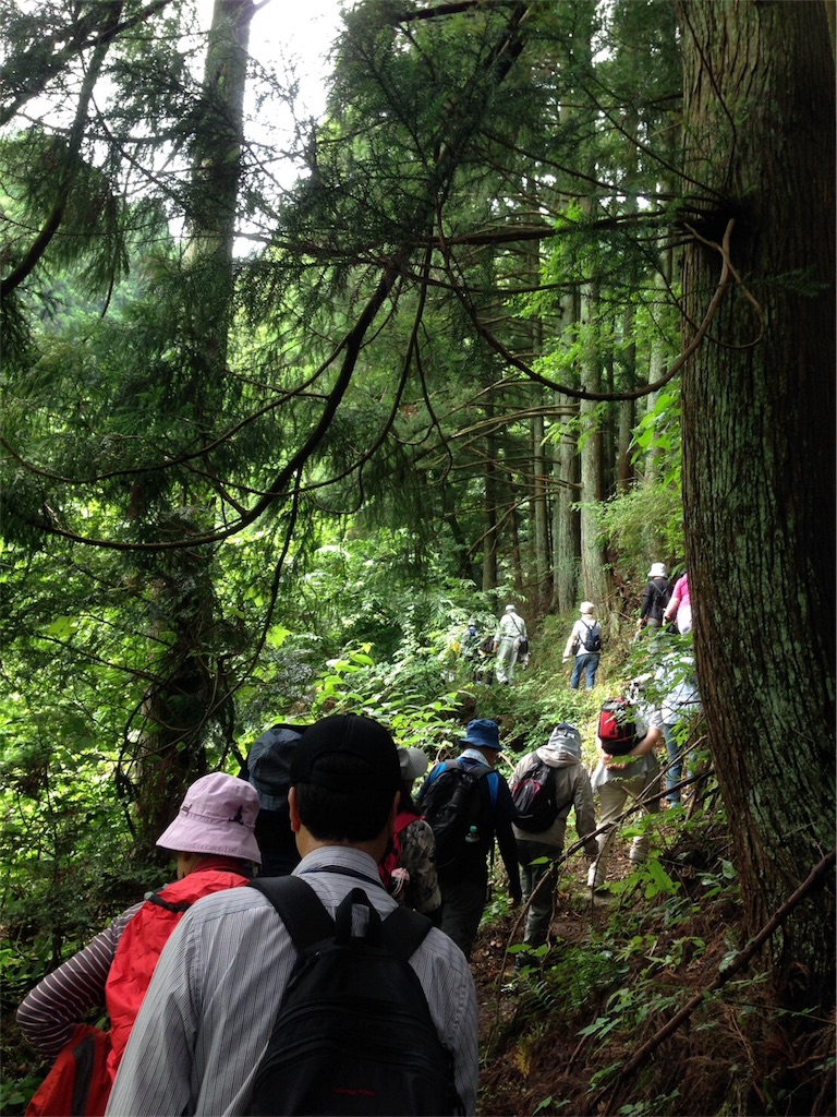 f:id:keitaf31:20170622234518j:image f:id:keitaf31:20170622234518j:image