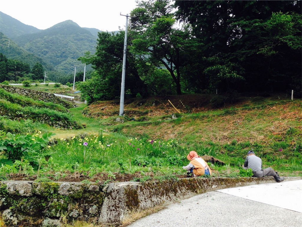 f:id:keitaf31:20170713111117j:image