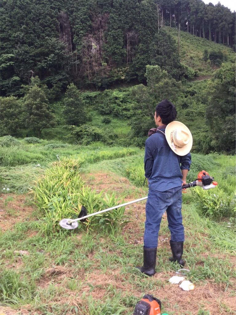 f:id:keitaf31:20180612025047j:image