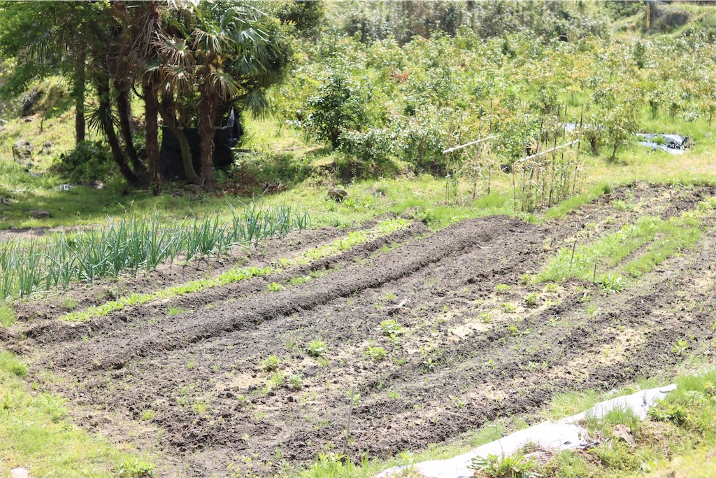 f:id:keitaf31:20180614171716j:image f:id:keitaf31:20180614171716j:image