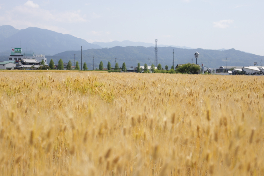 f:id:keitaf31:20180710014258j:plain