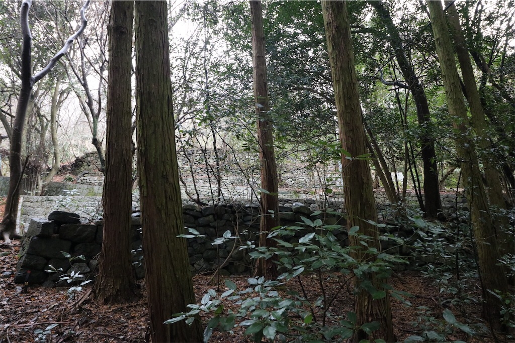 f:id:keitaf31:20190111150351j:image