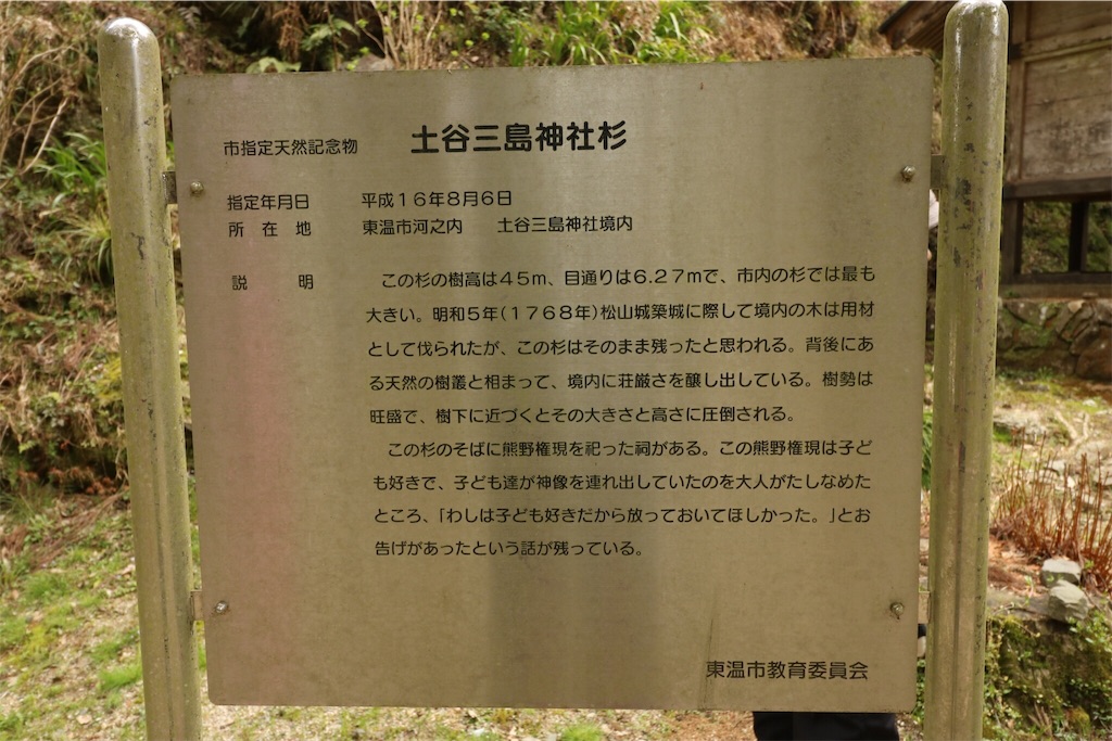 f:id:keitaf31:20190424185055j:image