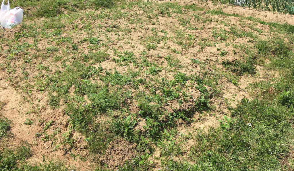 田舎で市民農園　～耕運から畝立てまで～