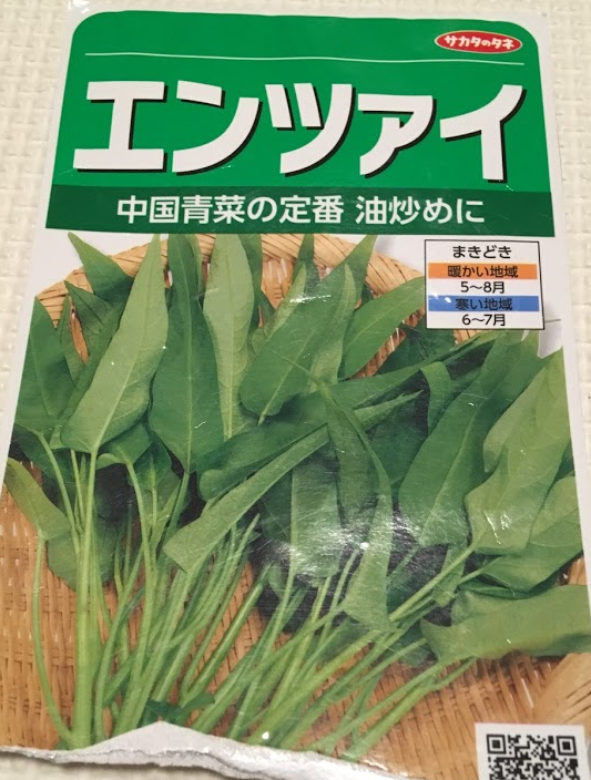 空心菜の直播き栽培 空心菜の直播き栽培(簡単で栄養満点!)~種撒きから収穫まで~