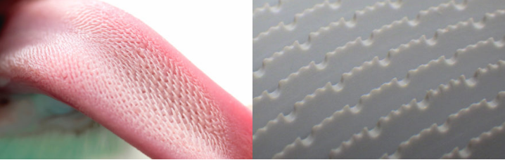 愛猫が喜ぶおすすめのブラシ「ねこじゃすり」。他とは比較にならない気持ち良さです。