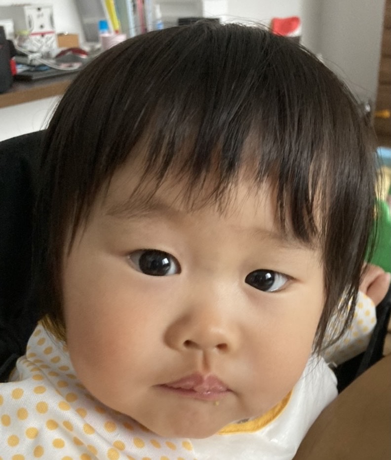 f:id:keitaro6400:20210509211103j:plain
