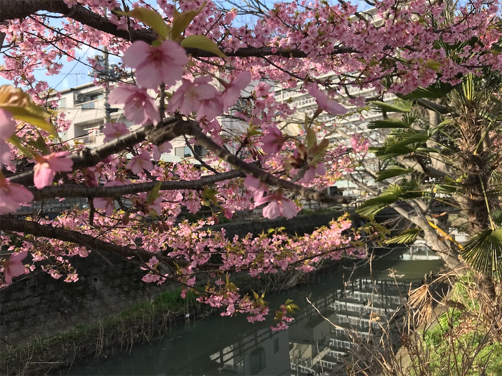 f:id:keith12180323:20180310153251j:image f:id:keith12180323:20180310153251j:image