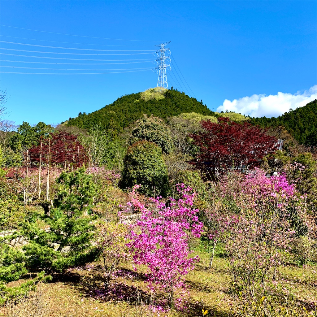 f:id:keithbike:20200419153759j:image f:id:keithbike:20200419153759j:image