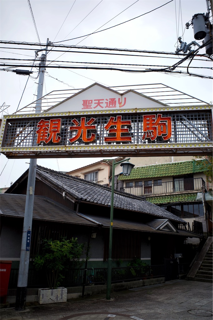 f:id:keito-3:20231119185420j:image f:id:keito-3:20231119185420j:image