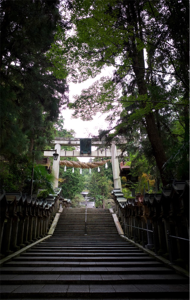 f:id:keito-3:20231119191548j:image f:id:keito-3:20231119191548j:image