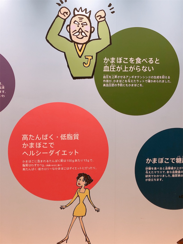 f:id:keito_mizushiro:20210523082926j:image