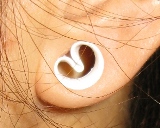 f:id:keitoubox:20101013015503j:image:w120