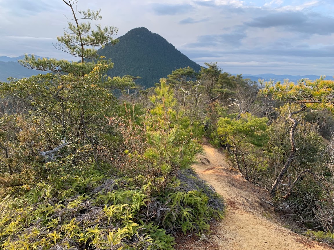 天山（あまやま）お手軽ハイキング、希望ヶ丘文化公園 - たまらん楽し