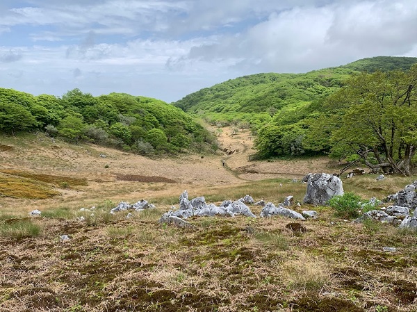 御池岳 鈴北岳 日本庭園