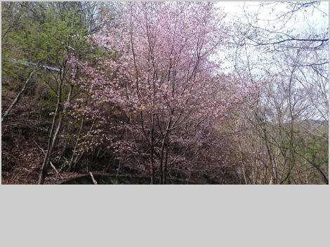 f:id:keiwn:20170505222557j:image f:id:keiwn:20170505222557j:image