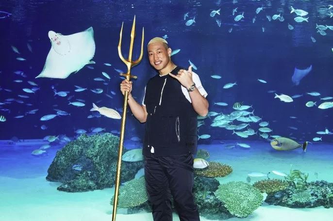 f:id:keiyamamoto413:20190120170542j:plain f:id:keiyamamoto413:20190120170542j:plain