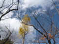 20121206110123
