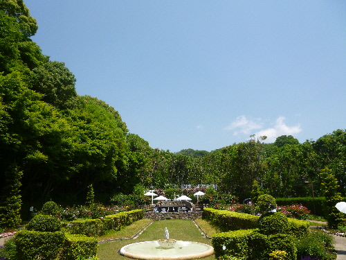 f:id:keiyousan:20140517110848j:image:w360