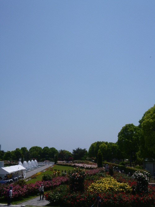 f:id:keiyousan:20140517121327j:image:w360