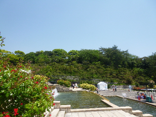 f:id:keiyousan:20140517121400j:image:w360