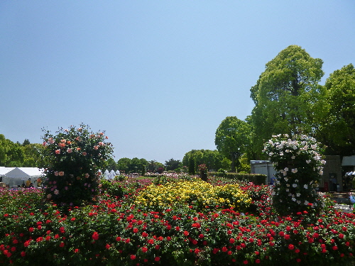 f:id:keiyousan:20140517121435j:image:w360