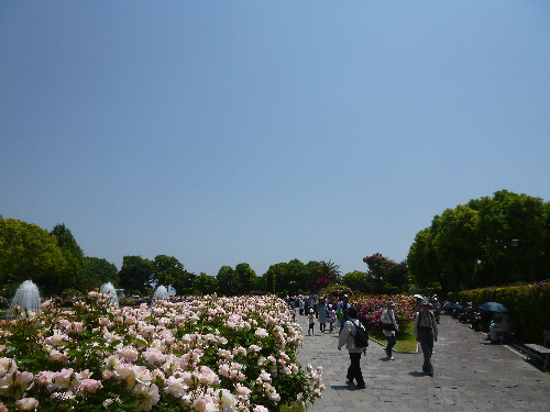 f:id:keiyousan:20140517121752j:image:w360