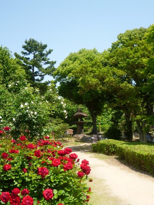 f:id:keiyousan:20140517124448j:image:w360
