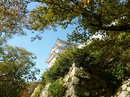 f:id:keiyousan:20141029123128j:image:w360 f:id:keiyousan:20141029123128j:image:w360