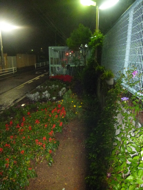 f:id:keiyousan:20150924195026j:image:w360 f:id:keiyousan:20150924195026j:image:w360