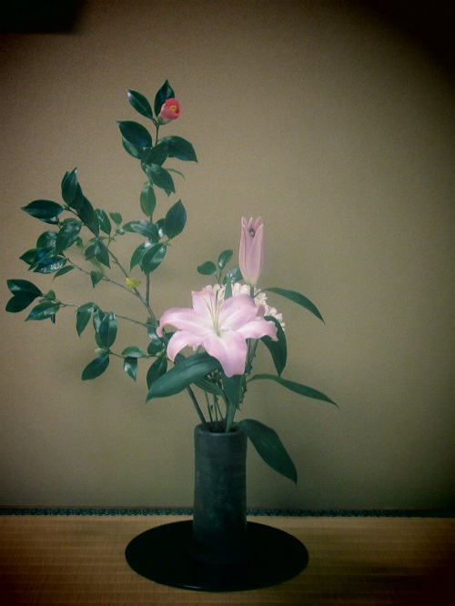 f:id:keiyousan:20151130164958j:image:w360