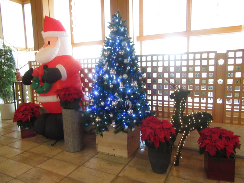 f:id:keiyousan:20151201090237j:image:w360