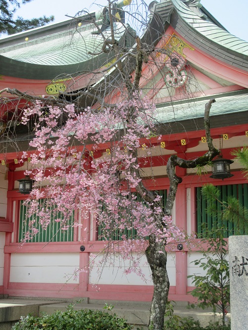 f:id:keiyousan:20170412131656j:image f:id:keiyousan:20170412131656j:image