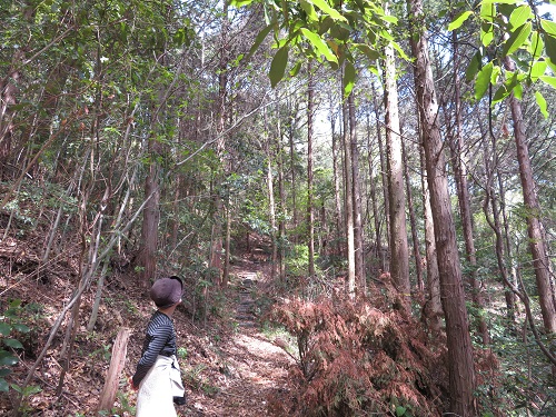 f:id:keiyousan:20180414100546j:image:w360