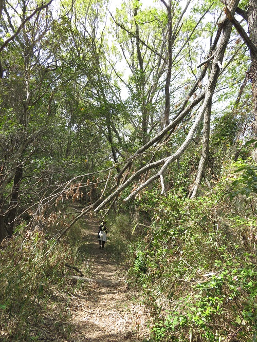 f:id:keiyousan:20180414102715j:image:w360