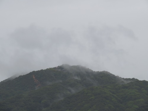 f:id:keiyousan:20180606095027j:image f:id:keiyousan:20180606095027j:image