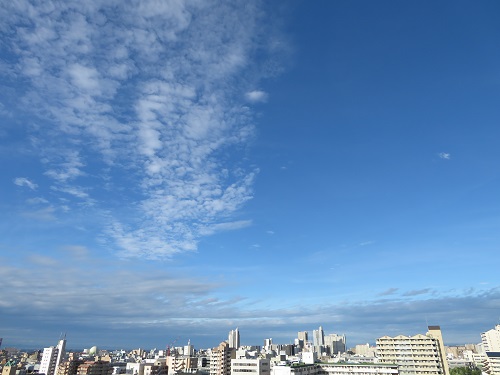f:id:keiyousan:20180611062615j:image f:id:keiyousan:20180611062615j:image