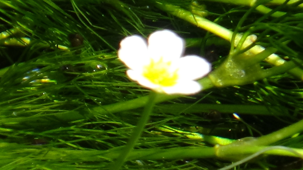 f:id:keizanago:20180829195949j:plain f:id:keizanago:20180829195949j:plain