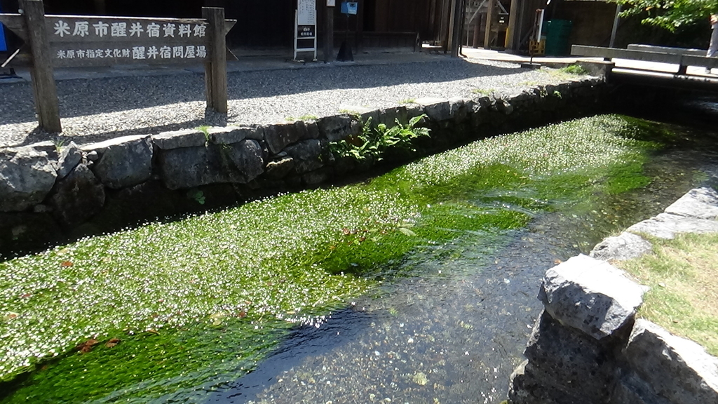 f:id:keizanago:20180829200300j:plain f:id:keizanago:20180829200300j:plain