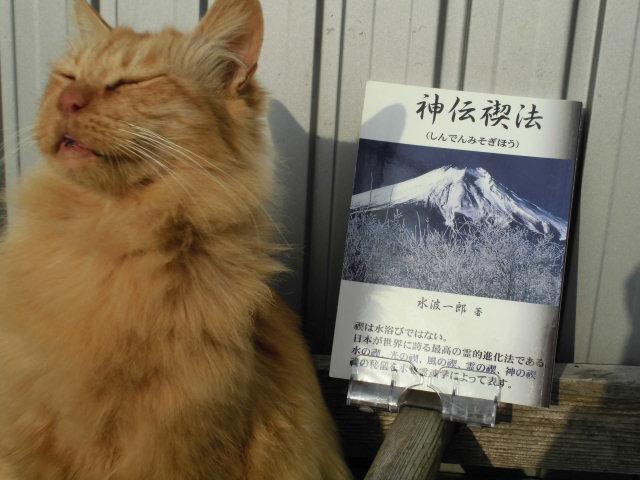f:id:keizanago:20190208192101j:plain f:id:keizanago:20190208192101j:plain