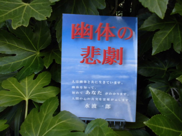 f:id:keizanago:20190308211350j:plain f:id:keizanago:20190308211350j:plain