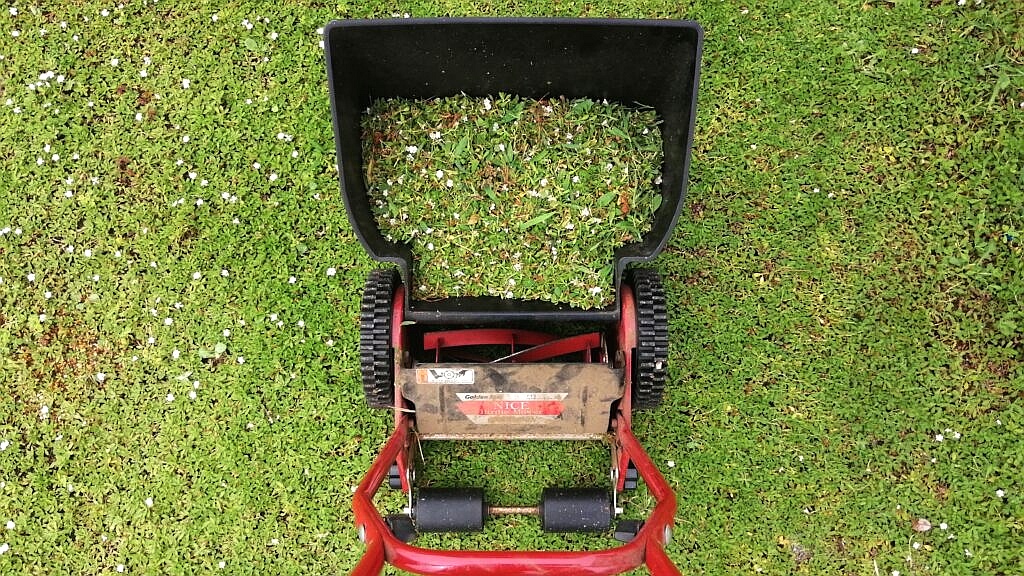 愛用の芝刈り機（キンボシハッピーバーディーモア）
