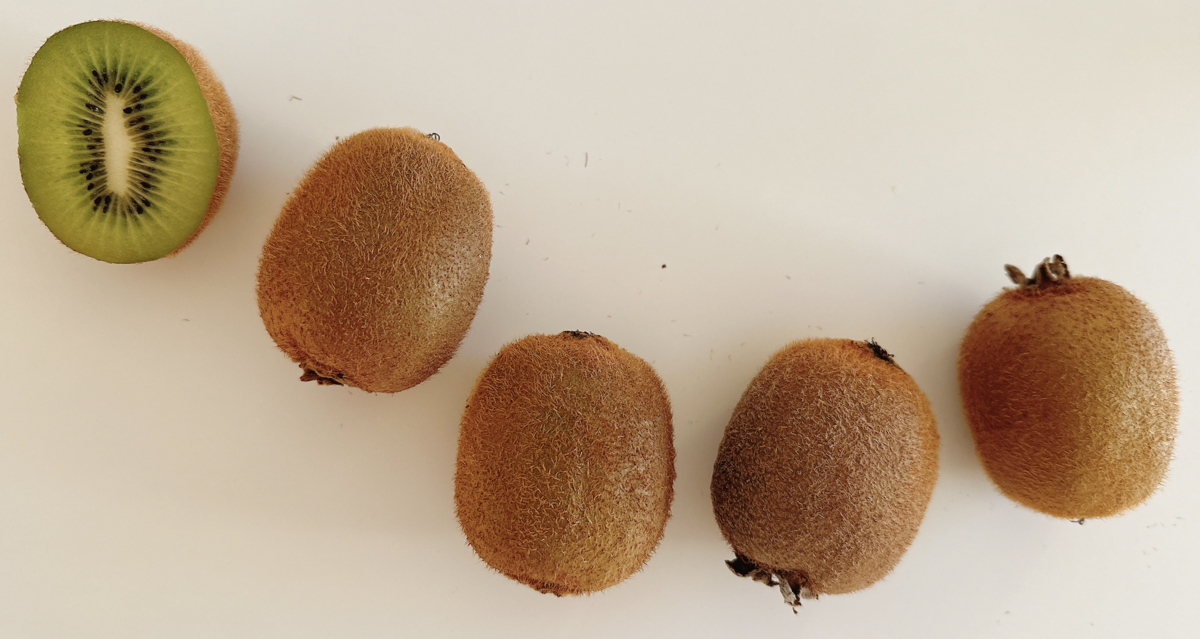 kiwi
