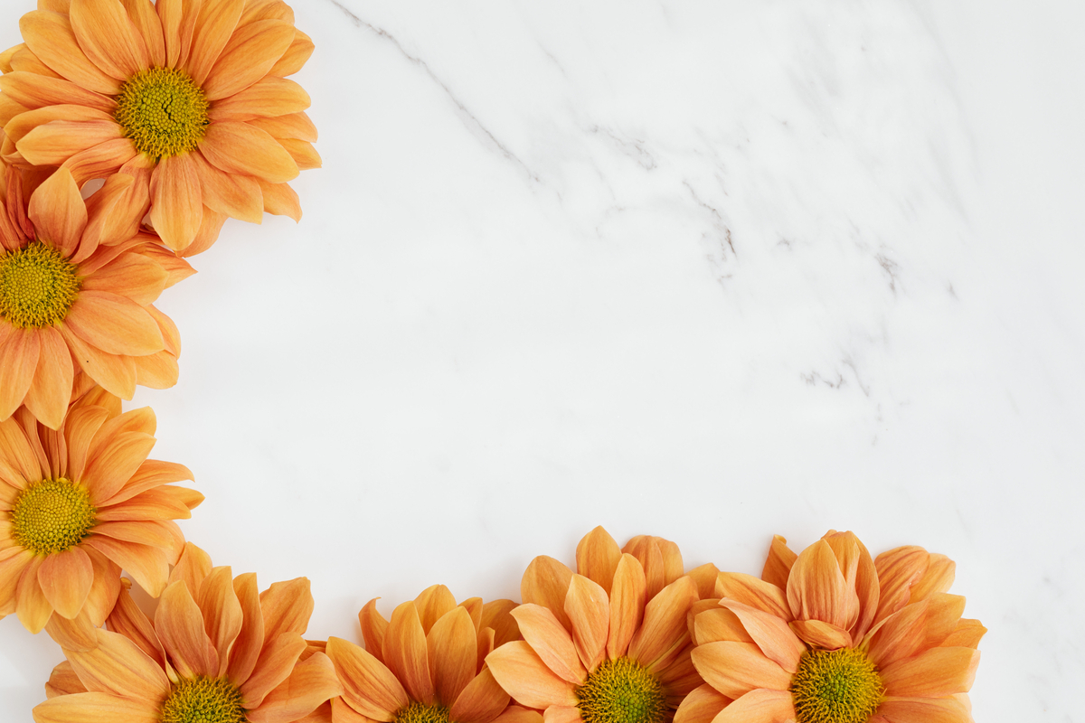 orange flower