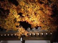 f:id:kekeronoriko:20141206011520j:image