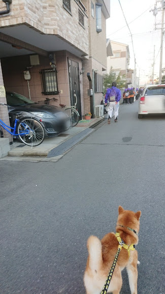 f:id:kekio2000:20190129105233j:plain f:id:kekio2000:20190129105233j:plain