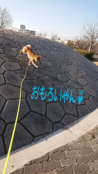 f:id:kekio2000:20190202171318j:plain f:id:kekio2000:20190202171318j:plain