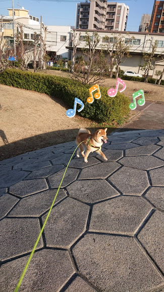 f:id:kekio2000:20190202171334j:plain f:id:kekio2000:20190202171334j:plain