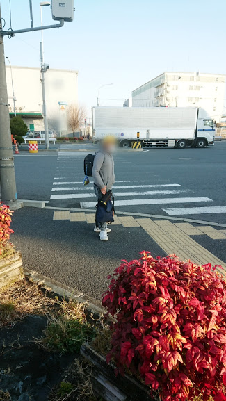 f:id:kekio2000:20190205110537j:plain f:id:kekio2000:20190205110537j:plain